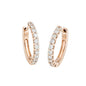 ROSE GOLD EARRINGS